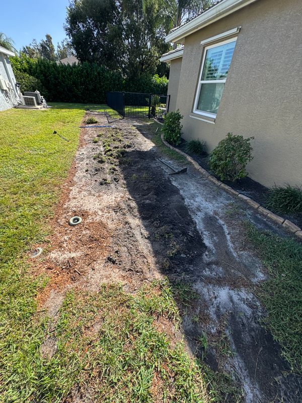 Sod installation