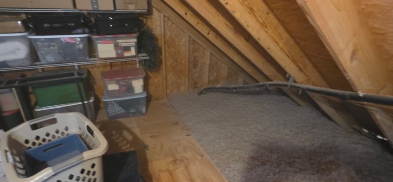 Eco-Friendly Insulation Options