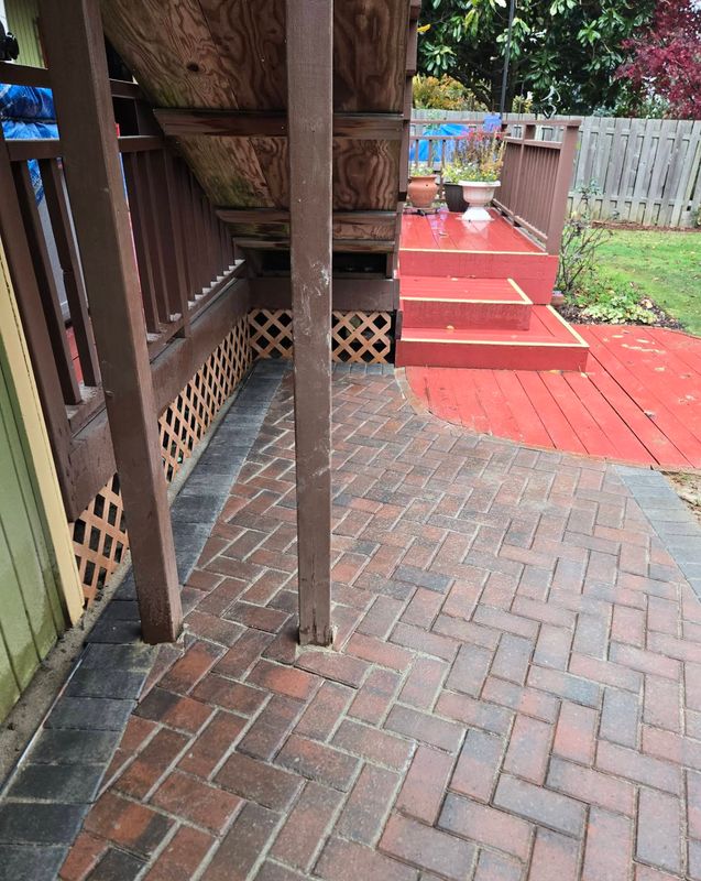 Patio Design & Installation