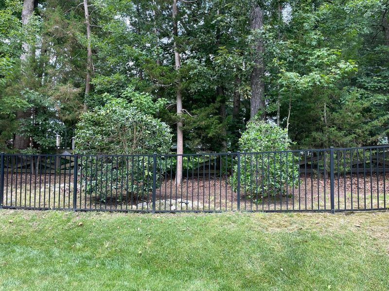 Tree & Shrub Care