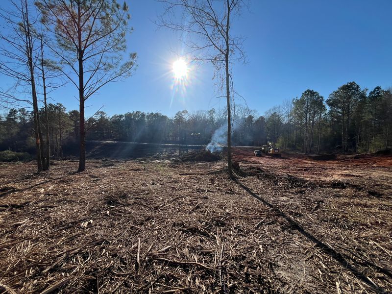 Land Clearing
