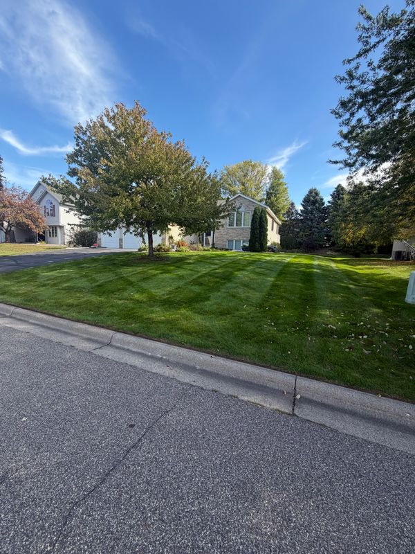 Lawn Maintenance
