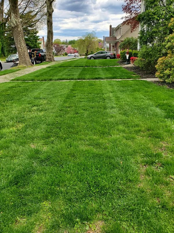 Lawn Care