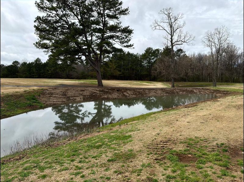 Land Clearing