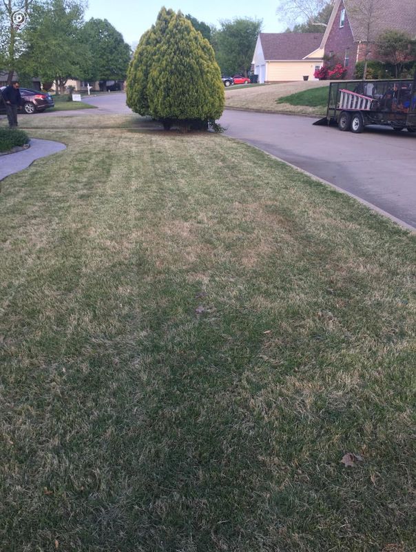 Lawn Care