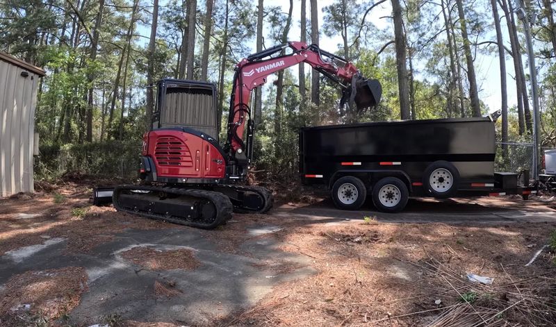 Tree Removal