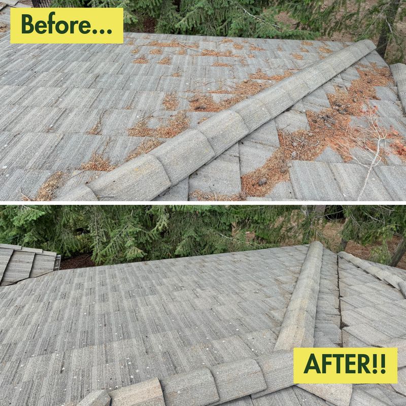 Before & After Photos
