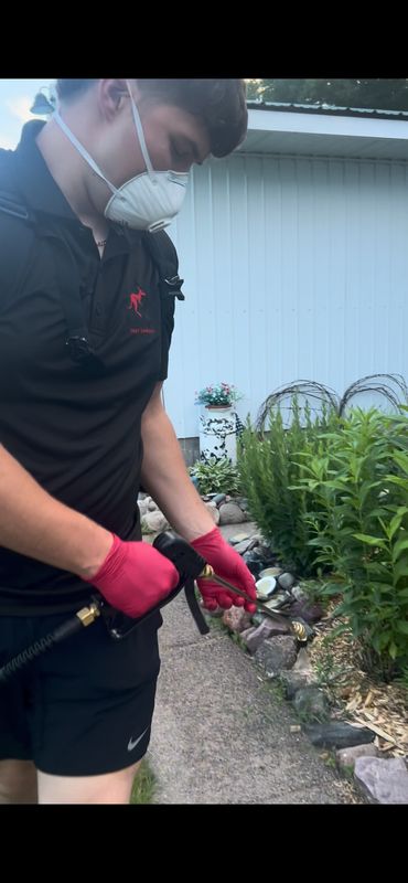 Pest Control Services