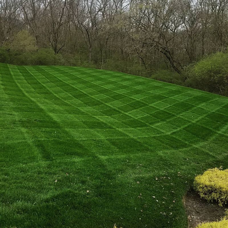 Mowing