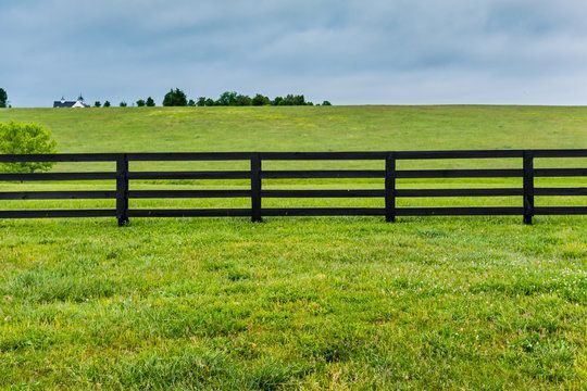 Fencing