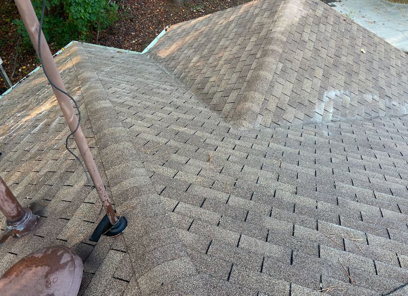Gutter cleaning