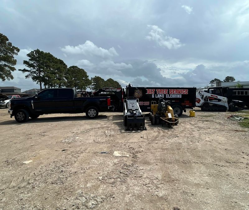 Land Clearing