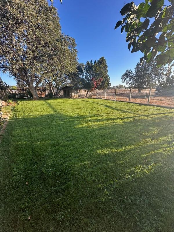 Lawn Maintenance
