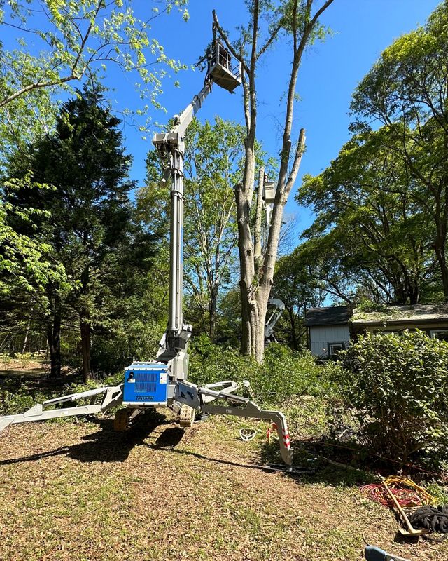 Land Clearing