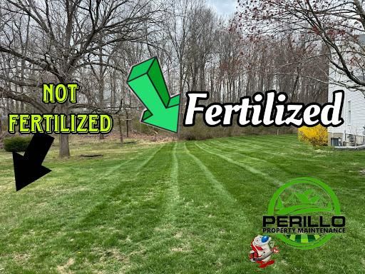 Weekly Lawn Maintenance