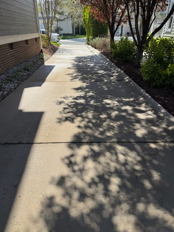 Driveway Cleaning gallery