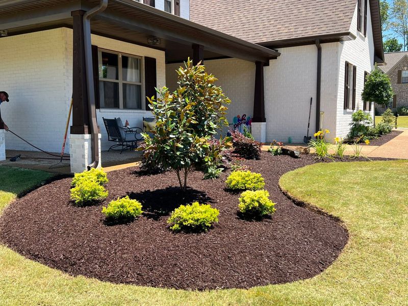 Lawn Care and Maintenance