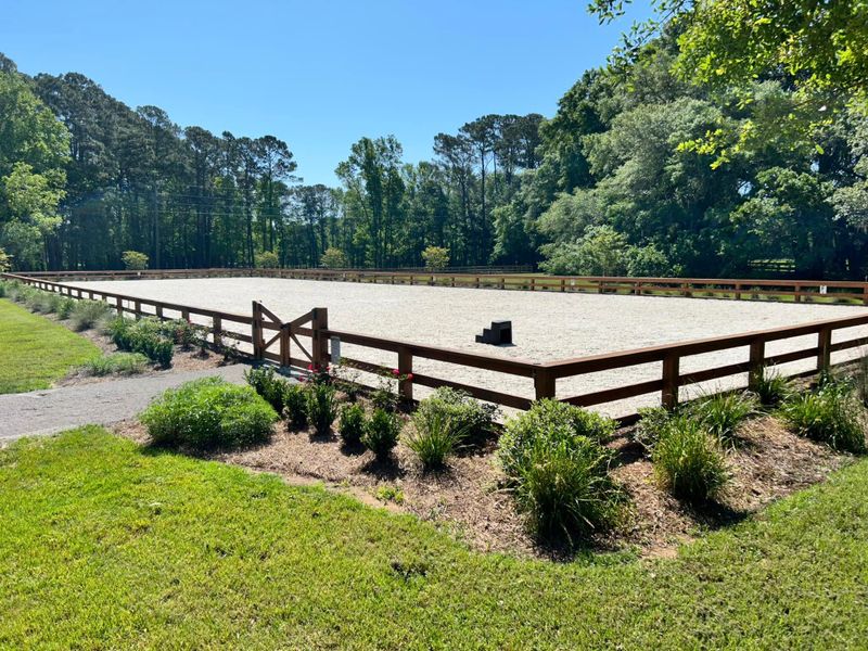 Equestrian Fencing