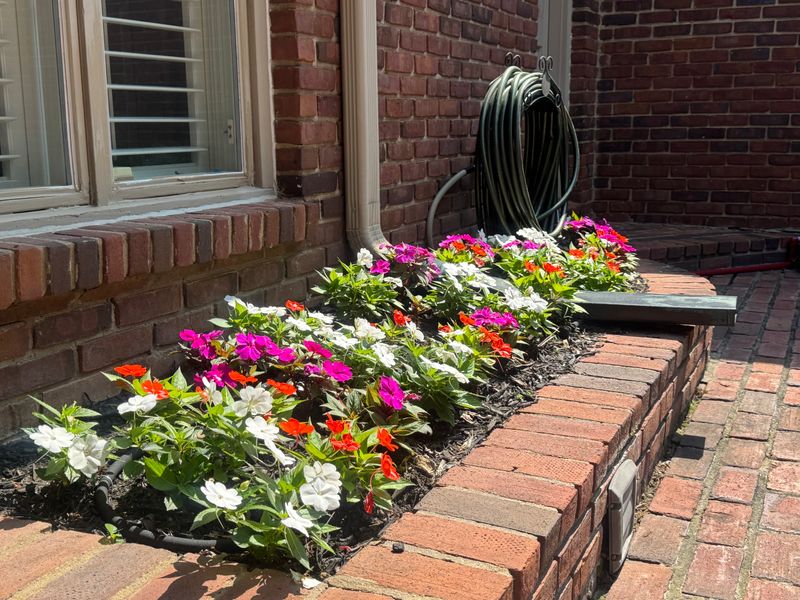 Garden Maintenance