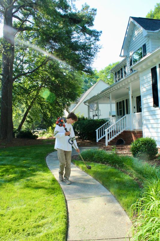 Property Maintenance
