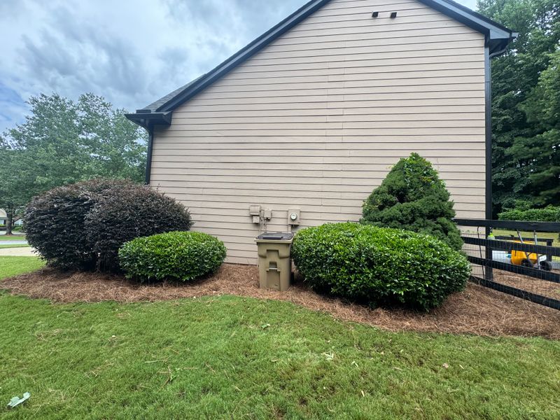 Shrub Trimming & Landscape Bed Care