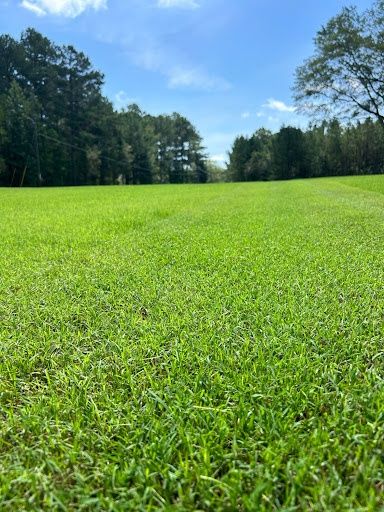 Hydroseeding