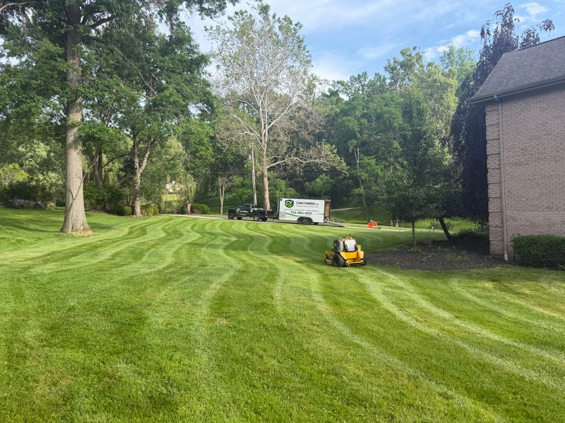Lawn Care
