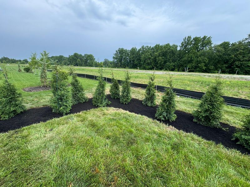Mulch Installation
