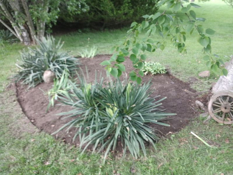 Mulch and Rock Installation