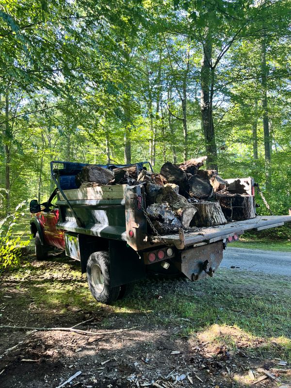 Junk Removal