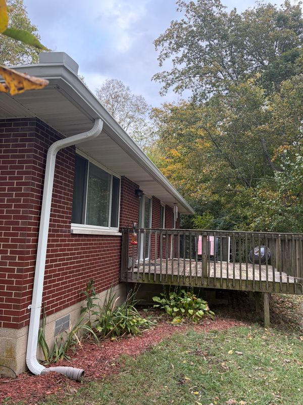 Gutter & Downspouts