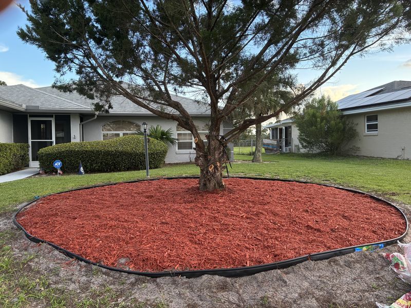 Tree and Hedge Care