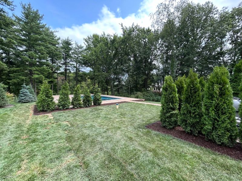 Landscape Design & Installation