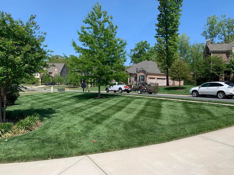 Lawn Maintenance
