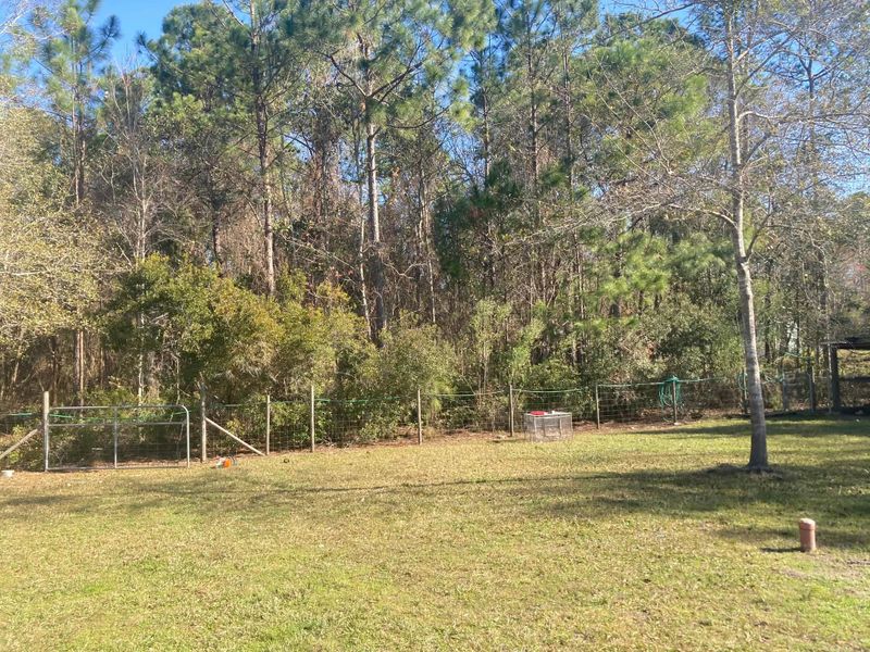Tree Removal gallery