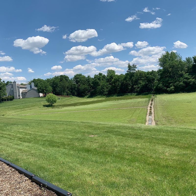 Lawn Care