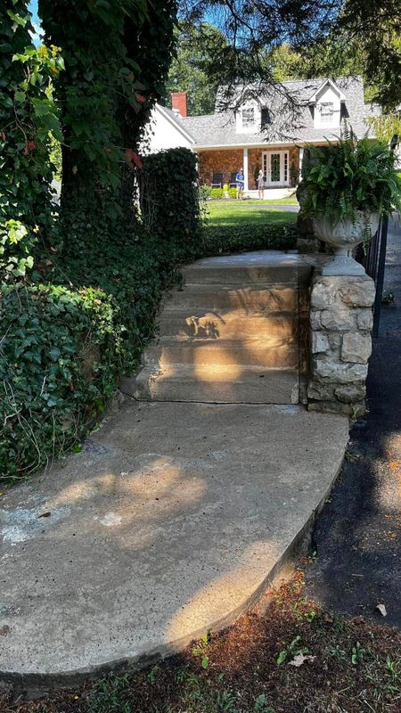 Hardscape Cleaning