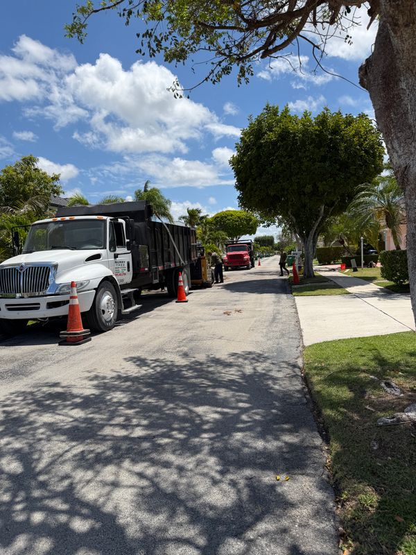 Tree Removal