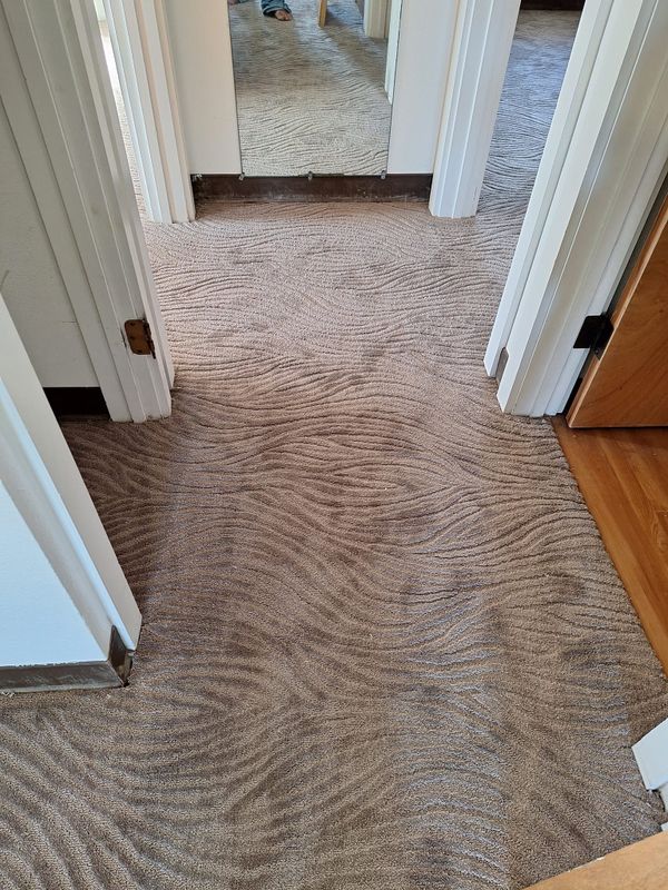 Carpet Installation and Repair