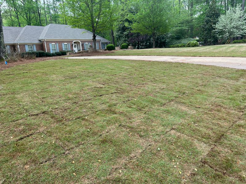 Sod Installation