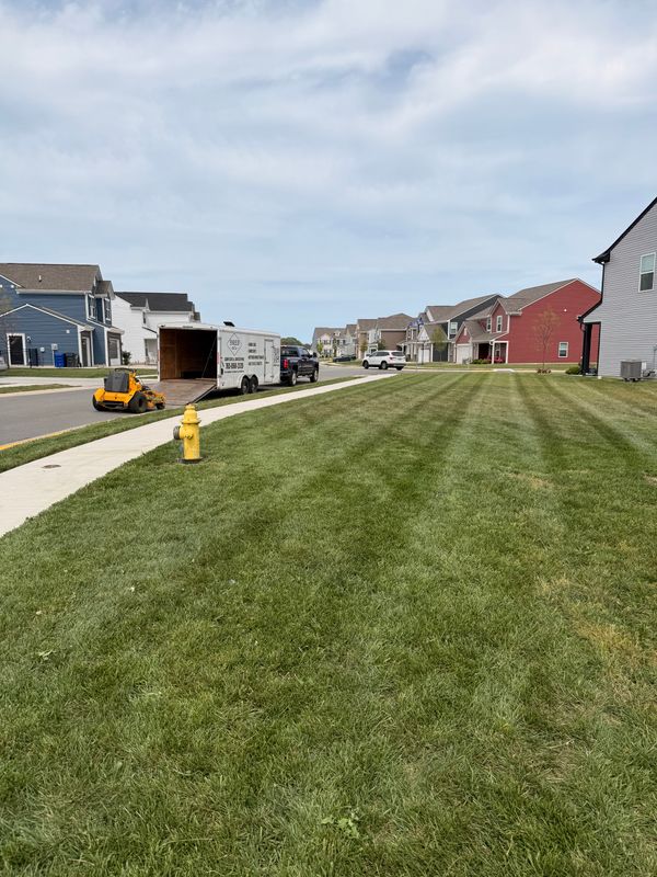 Lawn Care and Maintenance