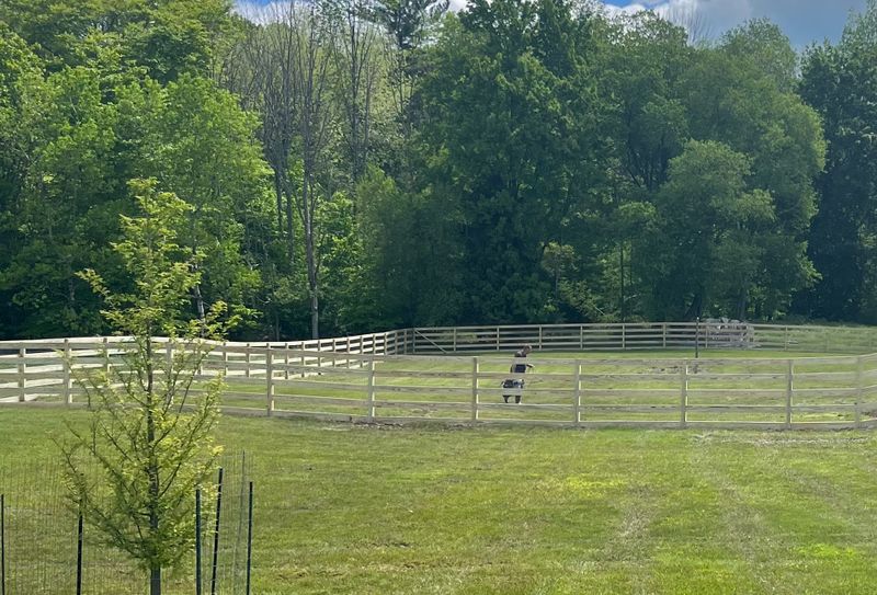 Fence Installation