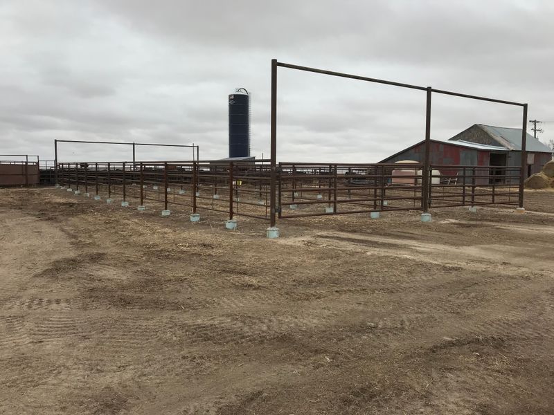 Commercial Chain Link Fencing