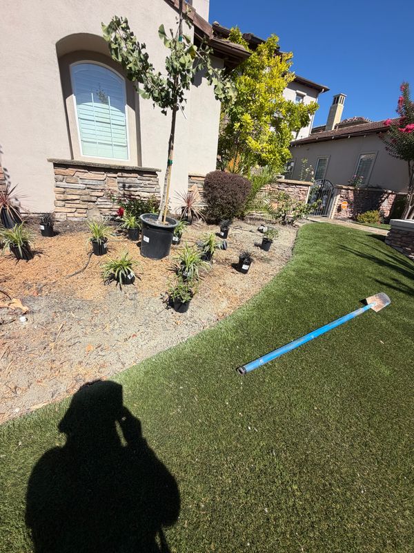 Artificial Turf