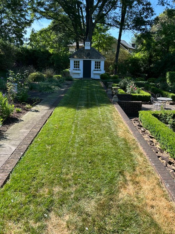 Lawn Mowing