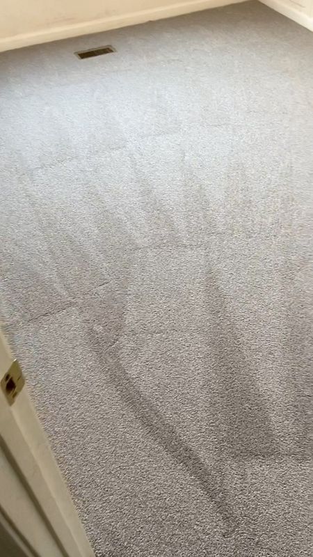 Carpet Cleaning