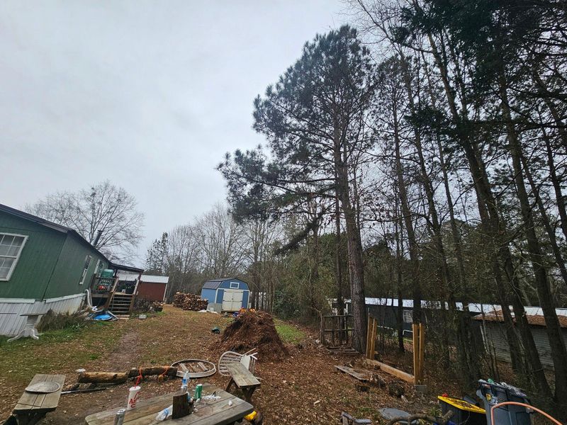 Debris Removal