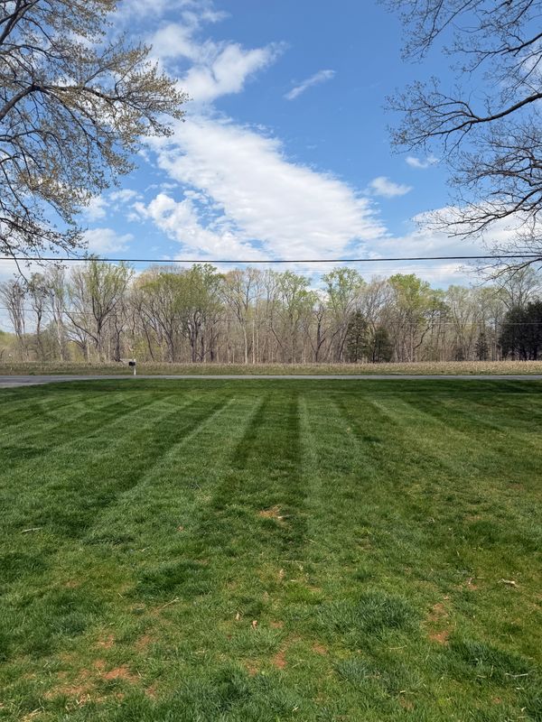 Lawn Mowing
