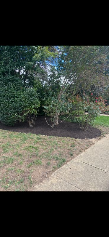 Our Work