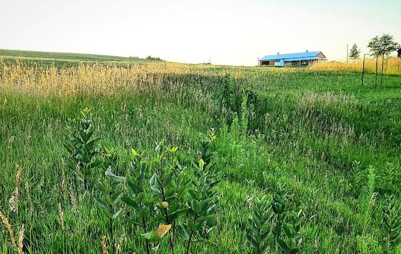 Large-Scale Mowing & Vegetation Management